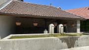 IMG7486