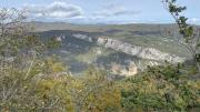 IMG9885