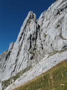 DMIMG-20250918-WA0028