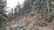 IMG6584