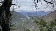 IMG6611