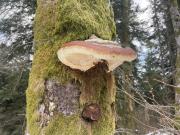 IMG6881